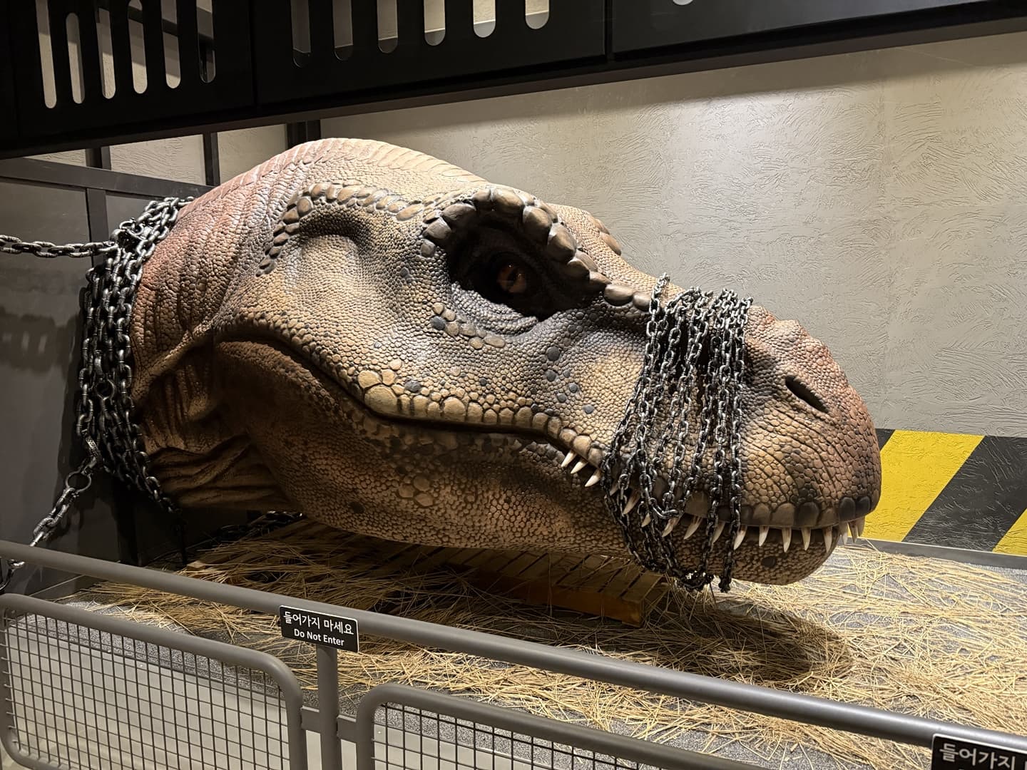 디스커버스 움직이는 공룡 머리