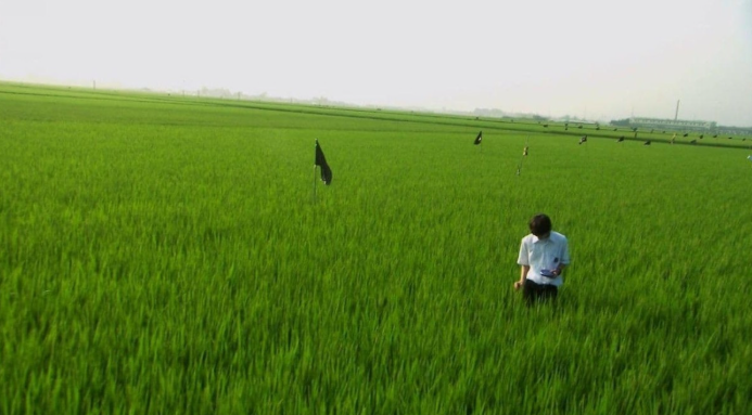 리얼리즘 계보 정리