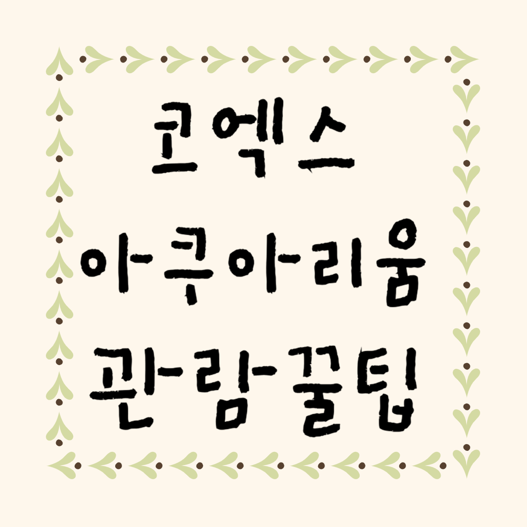 아이와 함께 코엑스 아쿠아리움 완벽하게 즐기는 법