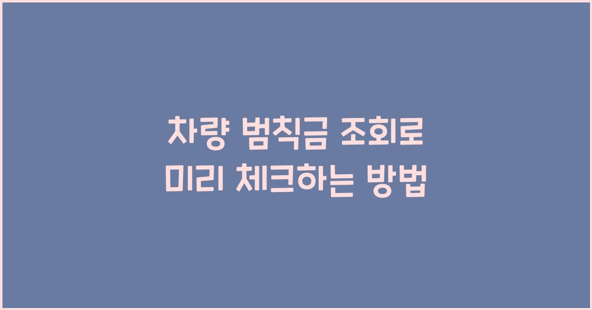 차량 범칙금 조회