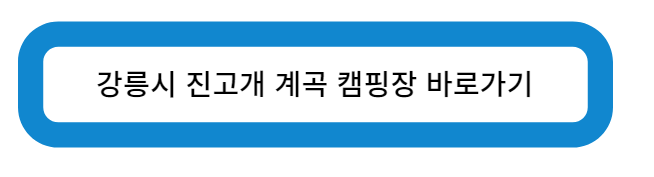 강릉시 진고개 계곡 캠핑장 바로가기