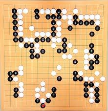 AI 바둑 서비스 비교 카타고 절예