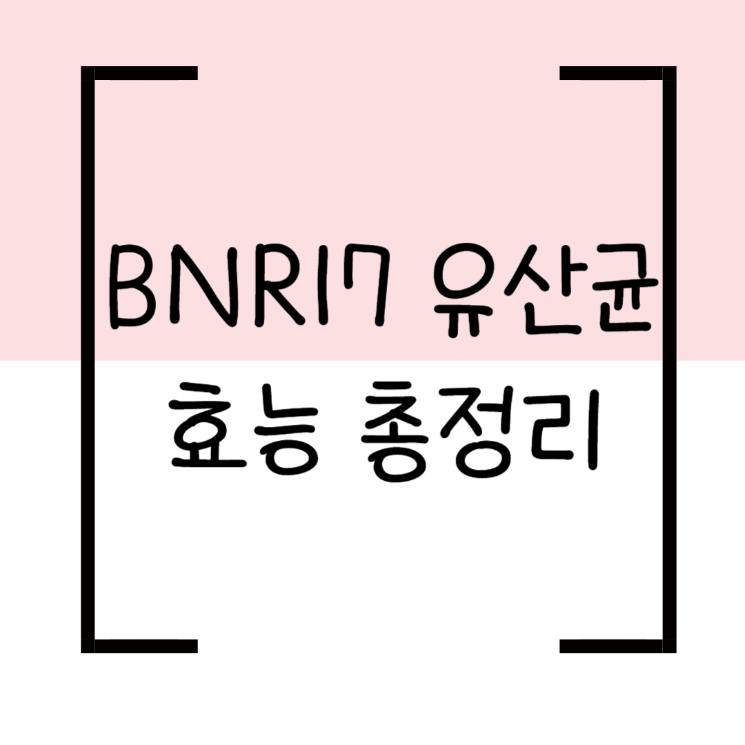 BNR17유산균