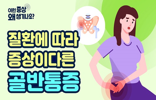 골반통증 관련 사진