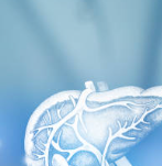 알부민 많은 음식