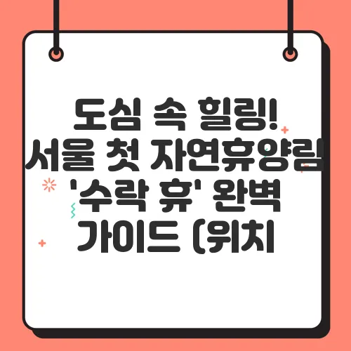 도심 속 힐링! 서울 첫 자연휴양림 '수락 휴' 완벽 가이드 (위치, 시설, 예약 꿀팁)
