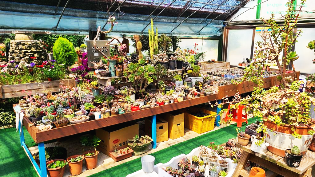 용도수목원-허브식물원