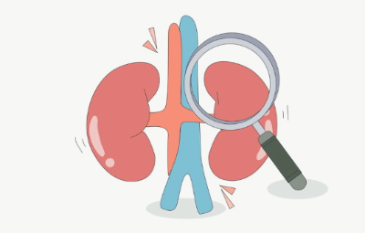 콩팥이 안좋으면 나타나는 증상입니다.