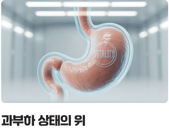 소화를 방해하는 불청객, '설탕'의 역습