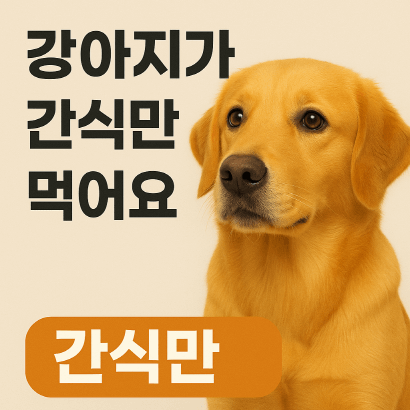 간식만 먹는 강아지, 밥 먹게 만드는 비법 A to Z