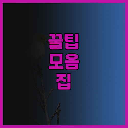 캄보디아 출장, HaiYATT Hot