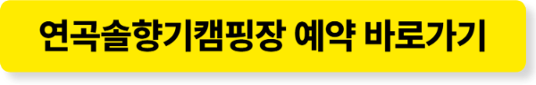 연곡 솔향기캠핑장 예약