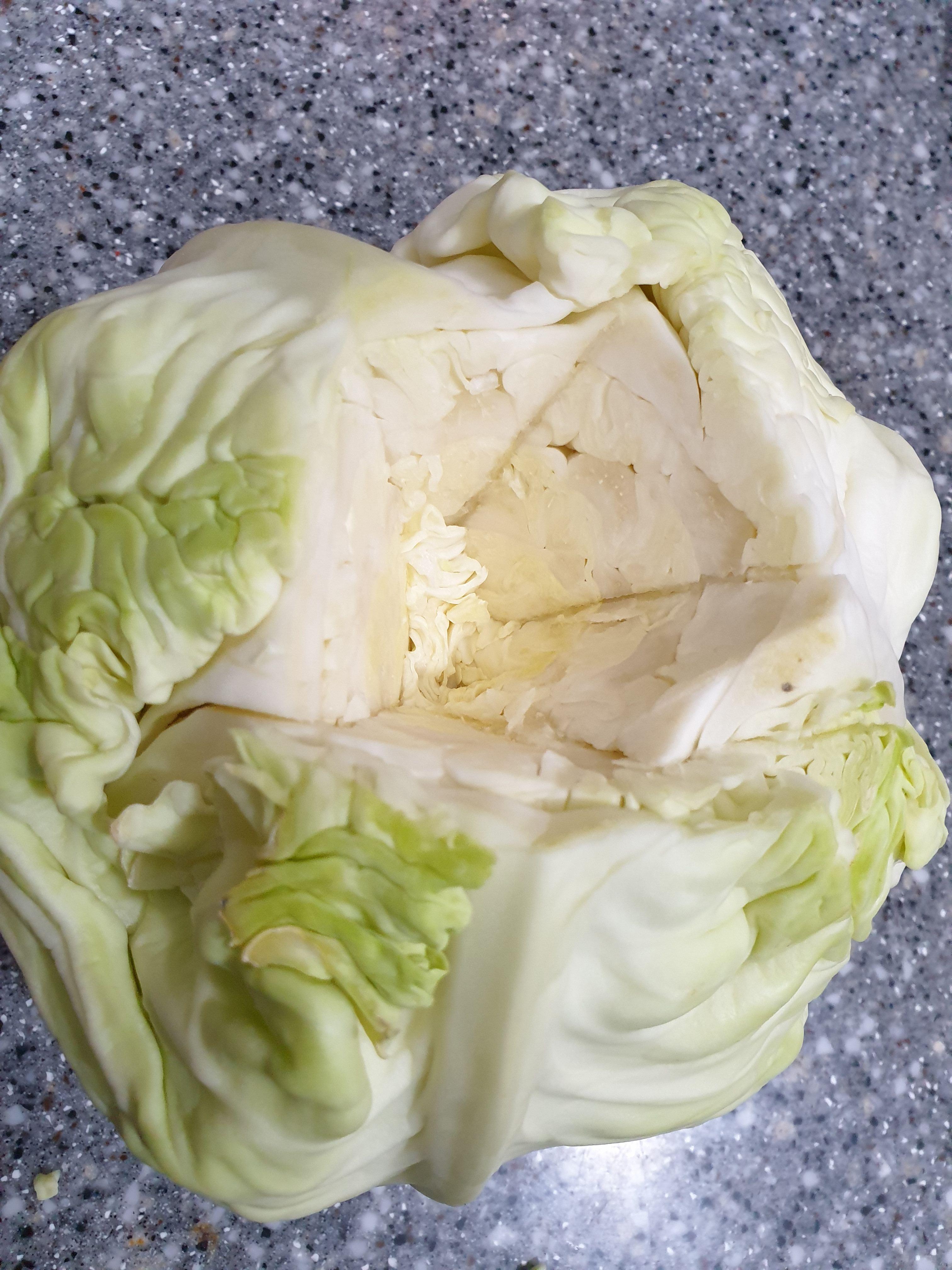 뿌리 떼어낸 양배추