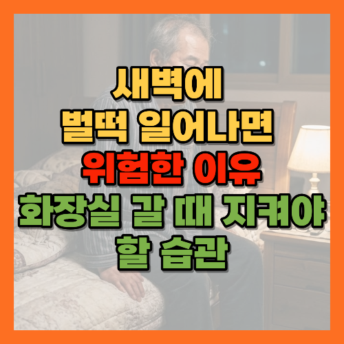 기립성저혈압, 새벽화장실, 새벽낙상주의, 기립성저혈압예방, 노년낙상예방, 새벽기상습관, 뇌졸중예방, 혈압관리, 새벽어지럼증, 낙상사고예방, 노년건강습관, 화장실낙상, 새벽기상주의사항, 건강한기상법, 자율신경계, 혈압약부작용, 야간뇨, 미끄럼방지매트, 새벽어지럼증원인, 노년기낙상예방, 기상시어지러움, 혈압조절, 노년기안전습관, 실신예방, 균형감각저하, 노년기뇌졸중예방, 새벽안전수칙, 침실안전관리, 노후안전습관, 미끄럼방지슬리퍼추천, 가정용혈압계추천, 센서등추천, 침대안전손잡이, 황금길가이드