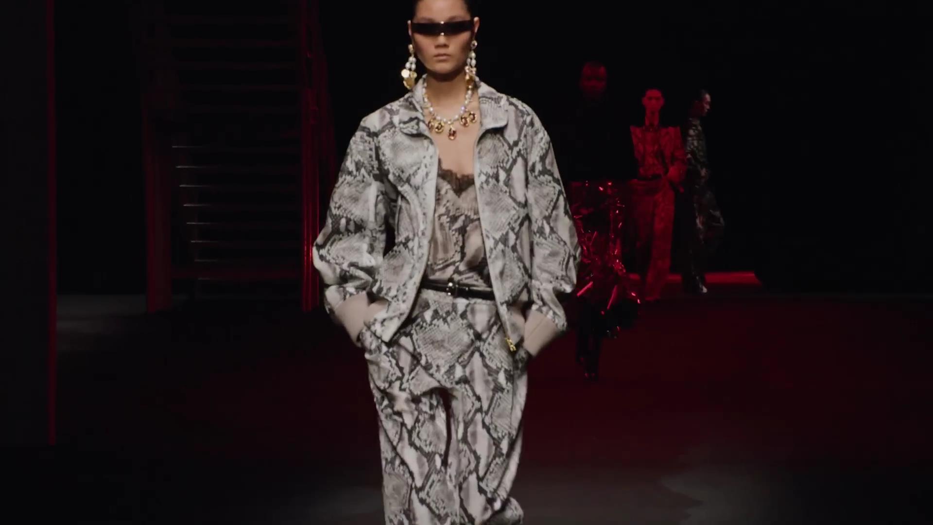 파이톤(Python)과 지브라(Zebra)