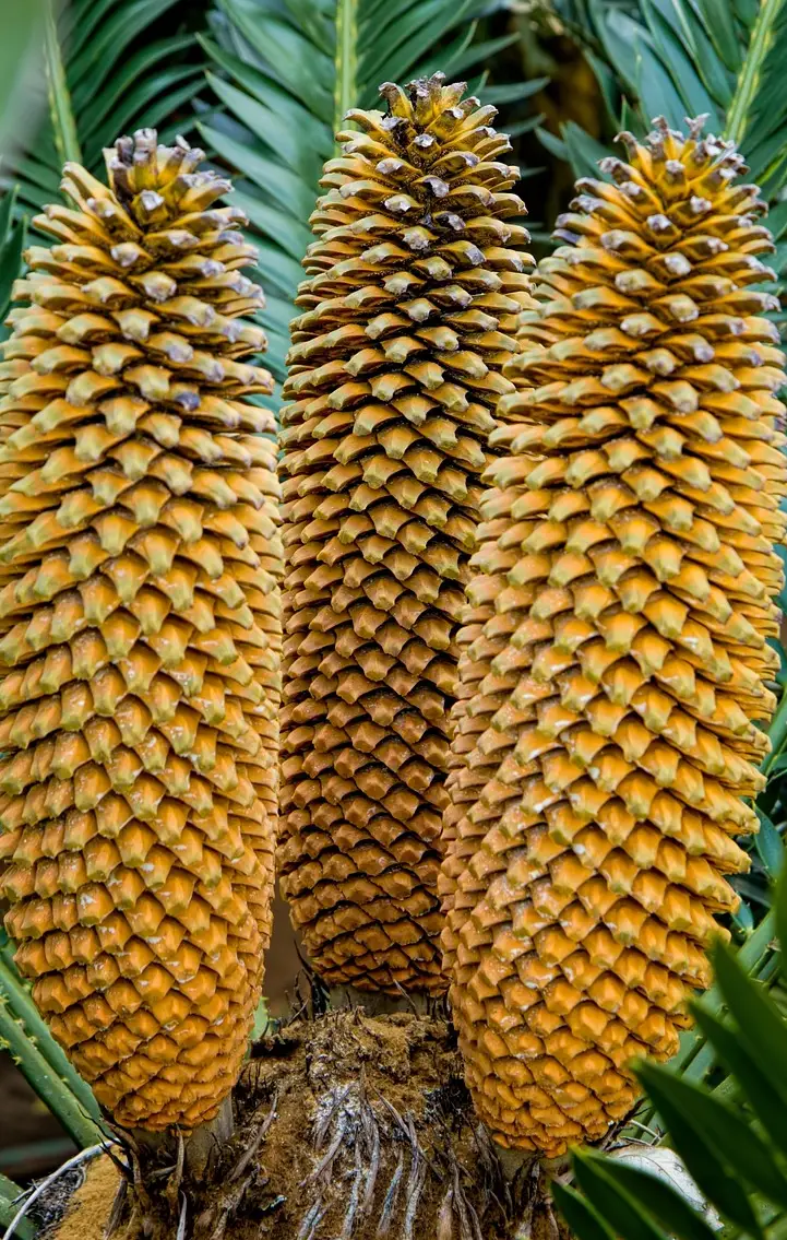 손해평가사 시험일정 시험과목 합격률