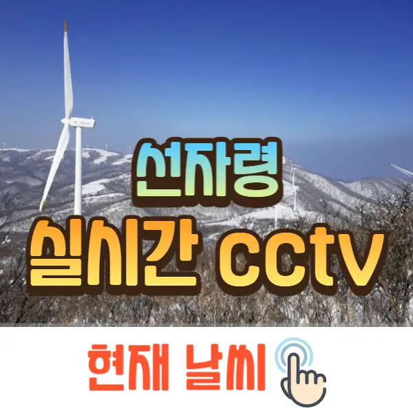 선자령 실시간 cctv, 날씨