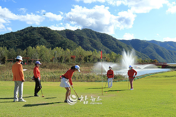 파크골프 샷 스탠스 정렬방법, 샷의 종류