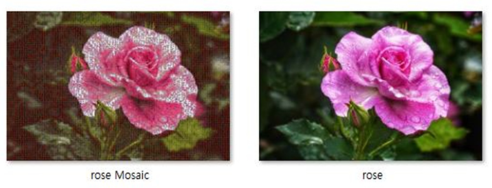 모자이크 사진 비교