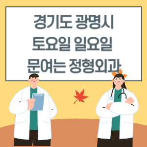 광명시 토요일 일요일 정형외과 진료 문여는 병원 리스트