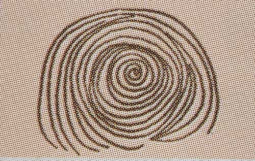 소용돌이 무늬 지문