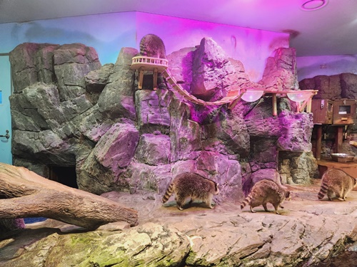 아쿠아플라넷 일산 할인 입장권 저렴한곳 + 다녀온 후기