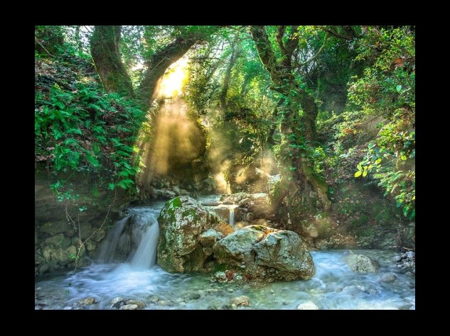 4. 시술 간격 및 시술 가격