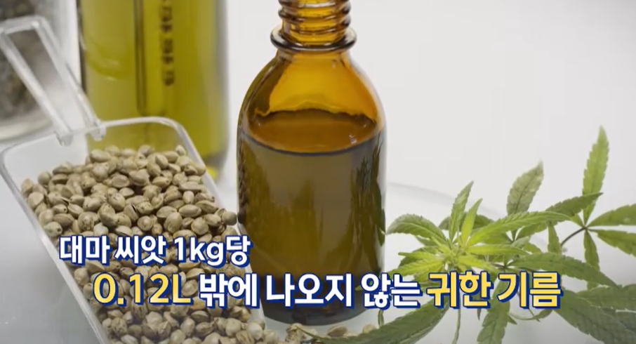 대마종자유 효능