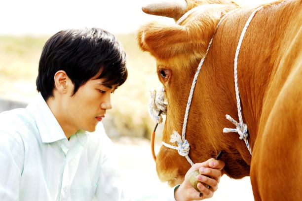 식객 네이버영화