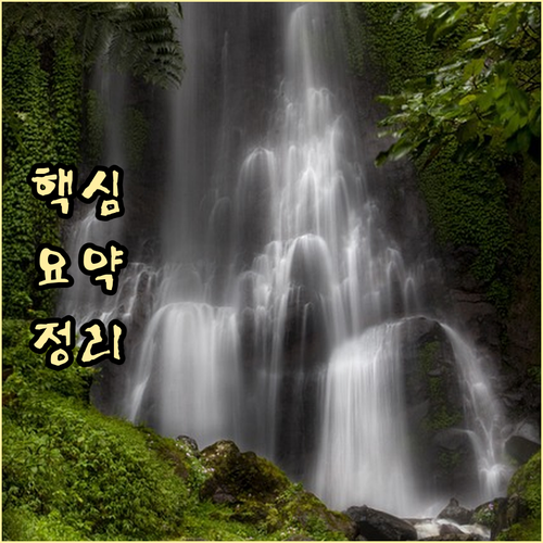 지역 경제 살리는 전통시장 상생페이백..