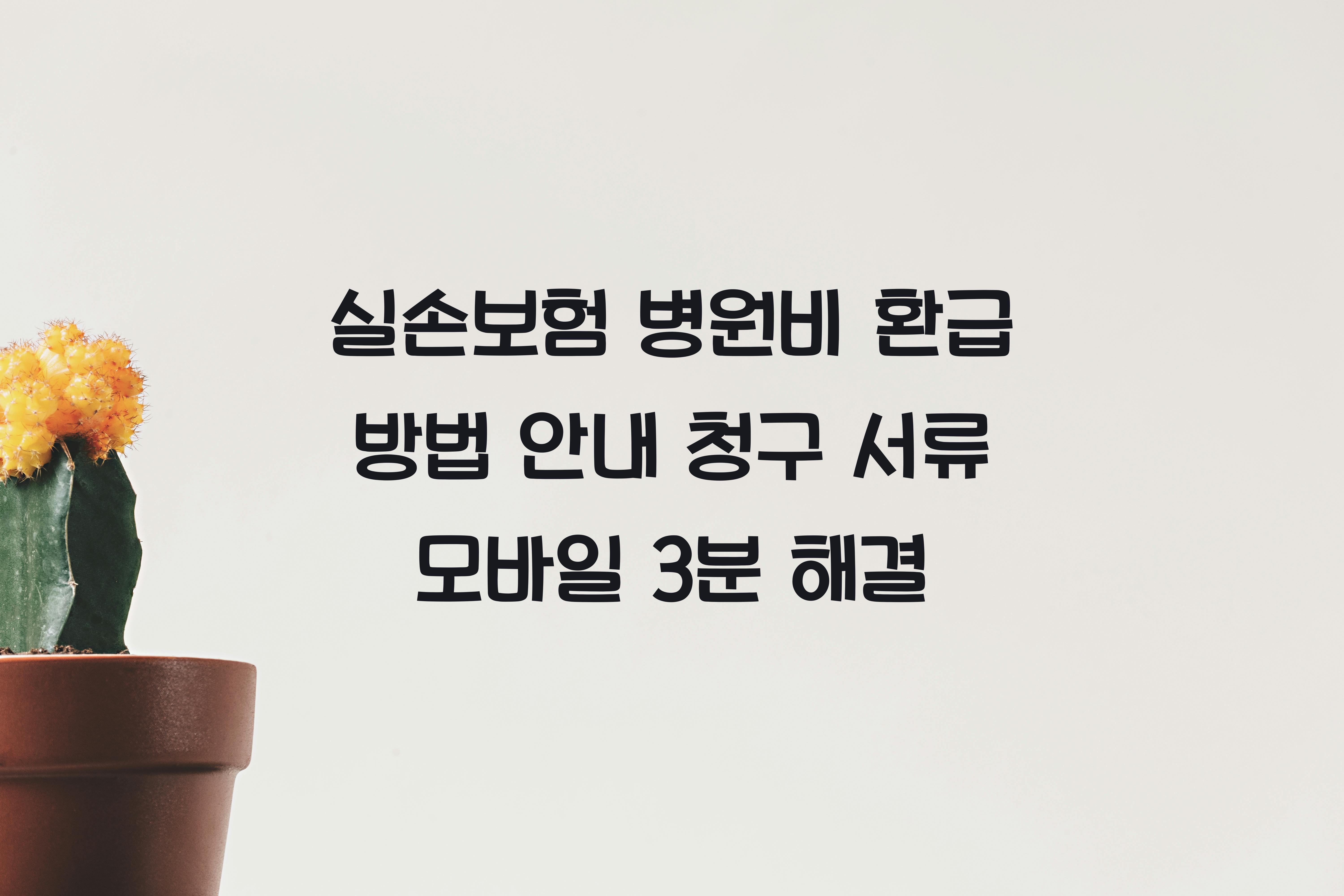 실손보험 병원비 환급 방법 안내
