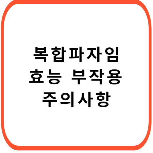 복합파자임-이중정-개요정보