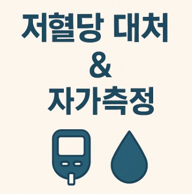 당뇨병 저혈당 증상 대처법과 자가혈당측정기 사용법 안내 사진
