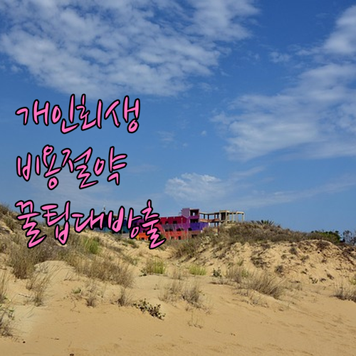 개인회생 비용 완벽 가이드: 절차별