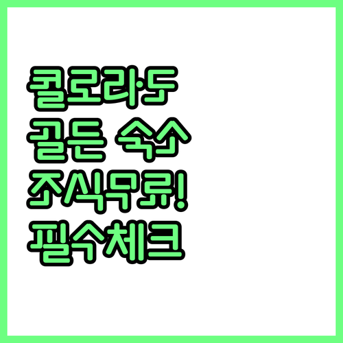 콜로라도 골든 가족 여행 숙소 추천 ..
