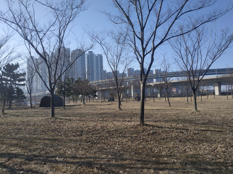 인천 연수구 반려견 겨울 나들이 명소, 강아지와 함께 걷기 좋은 산책 코스
