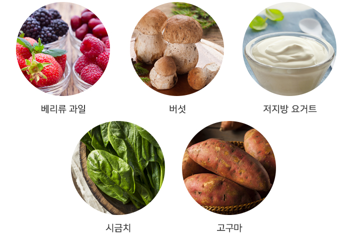 면역력 증강