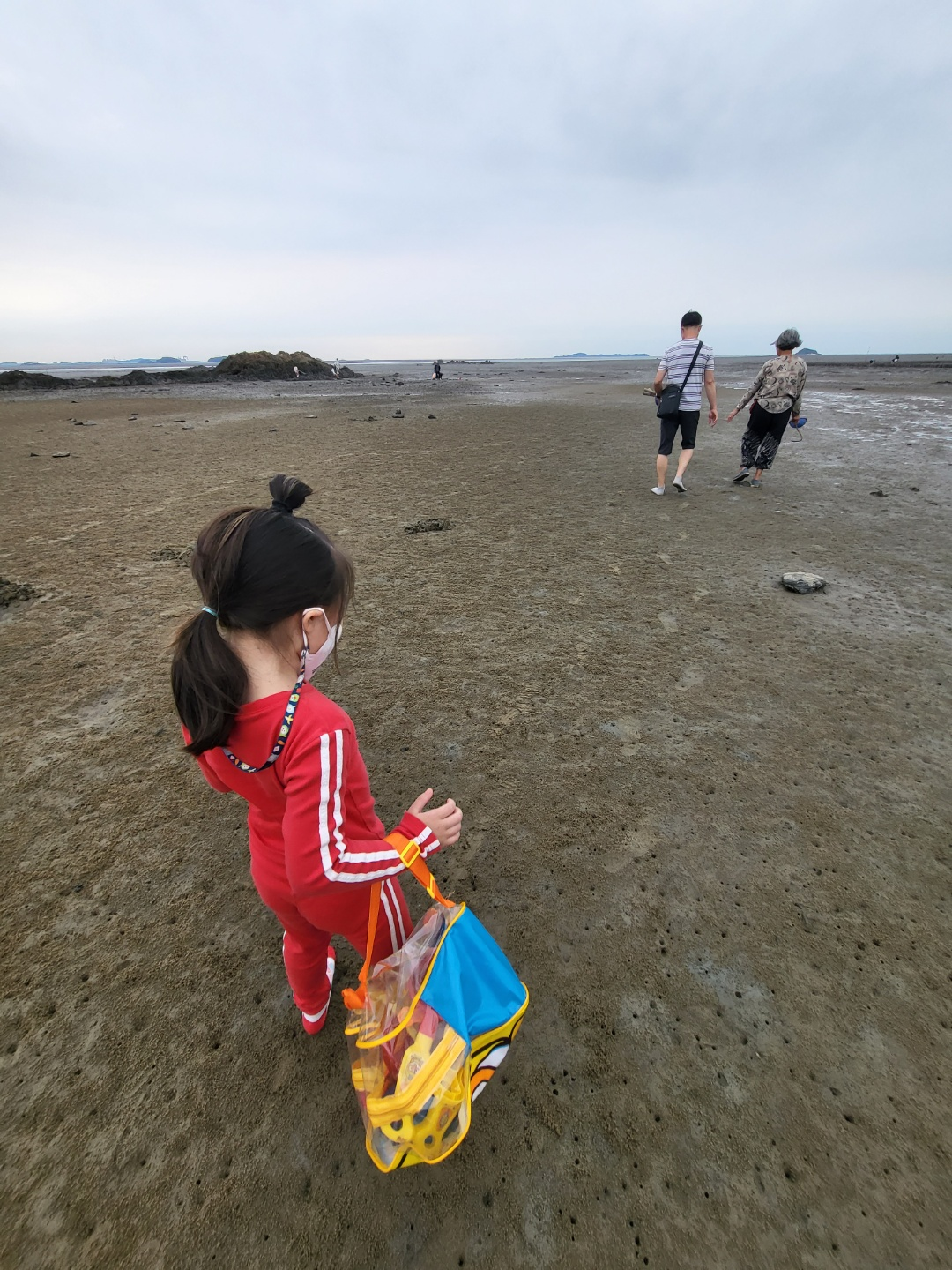 서천 갯벌체험&amp;#44; 모시조개 캐기 (서천송림갯벌체험장)