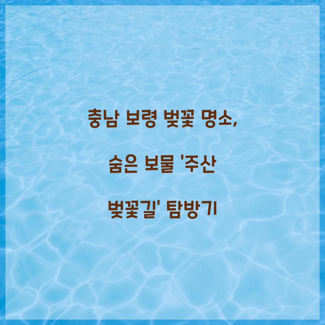 충남 보령 벚꽃 명소