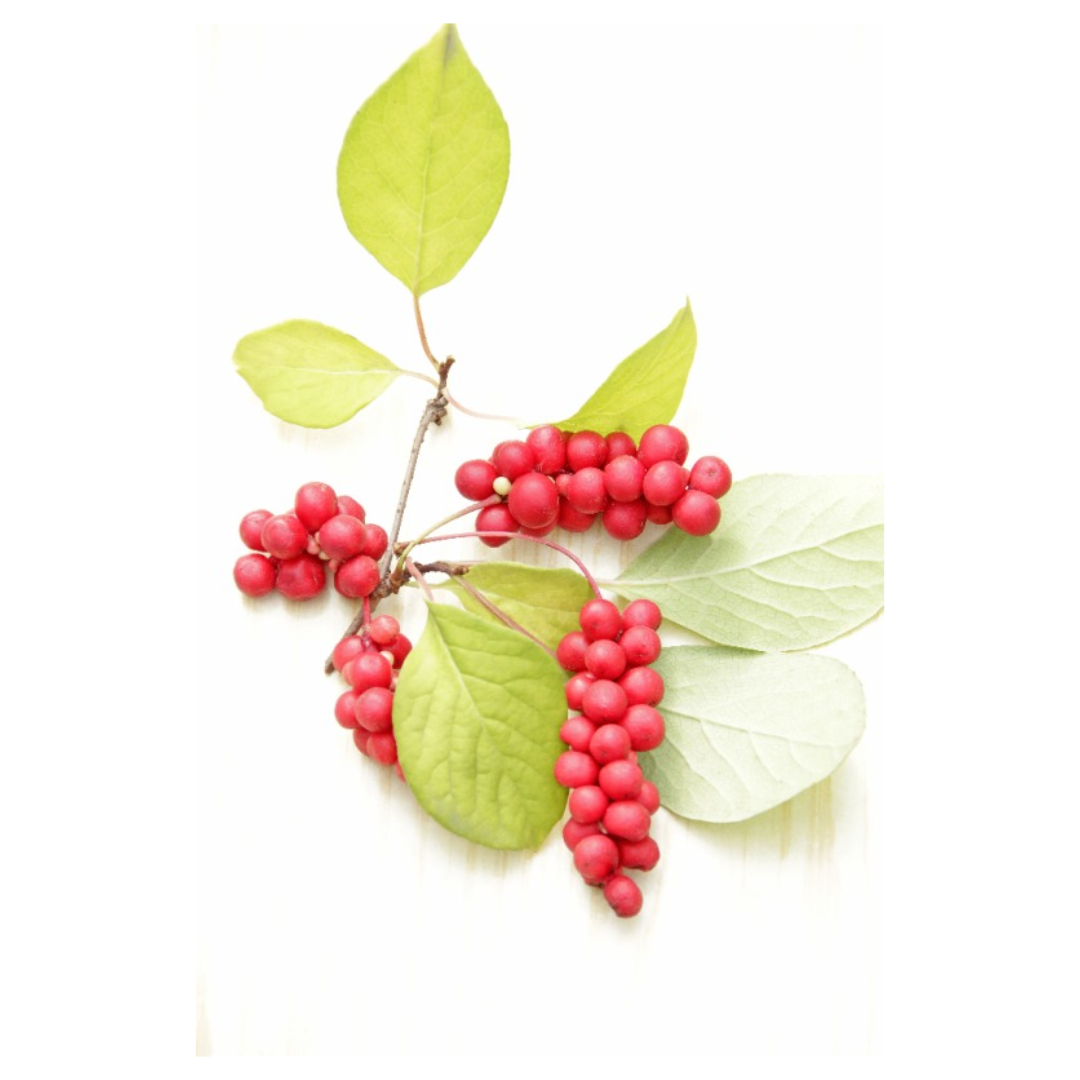 오미자청과 관련된 사진입니다.