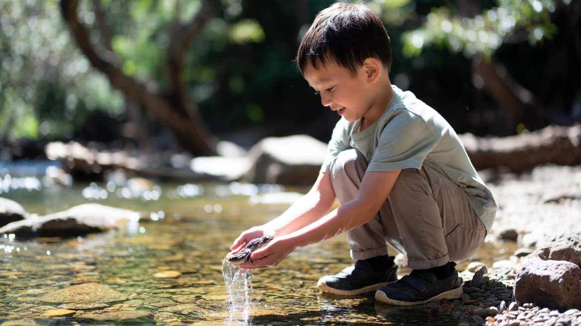 자연으로 두꺼비를 돌려보내며 공존의 가치를 실천하는 아이의 모습