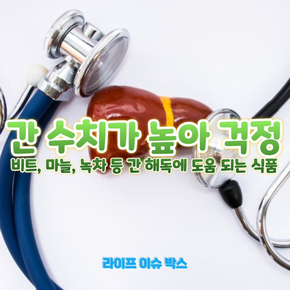 간 수치가 높아 걱정