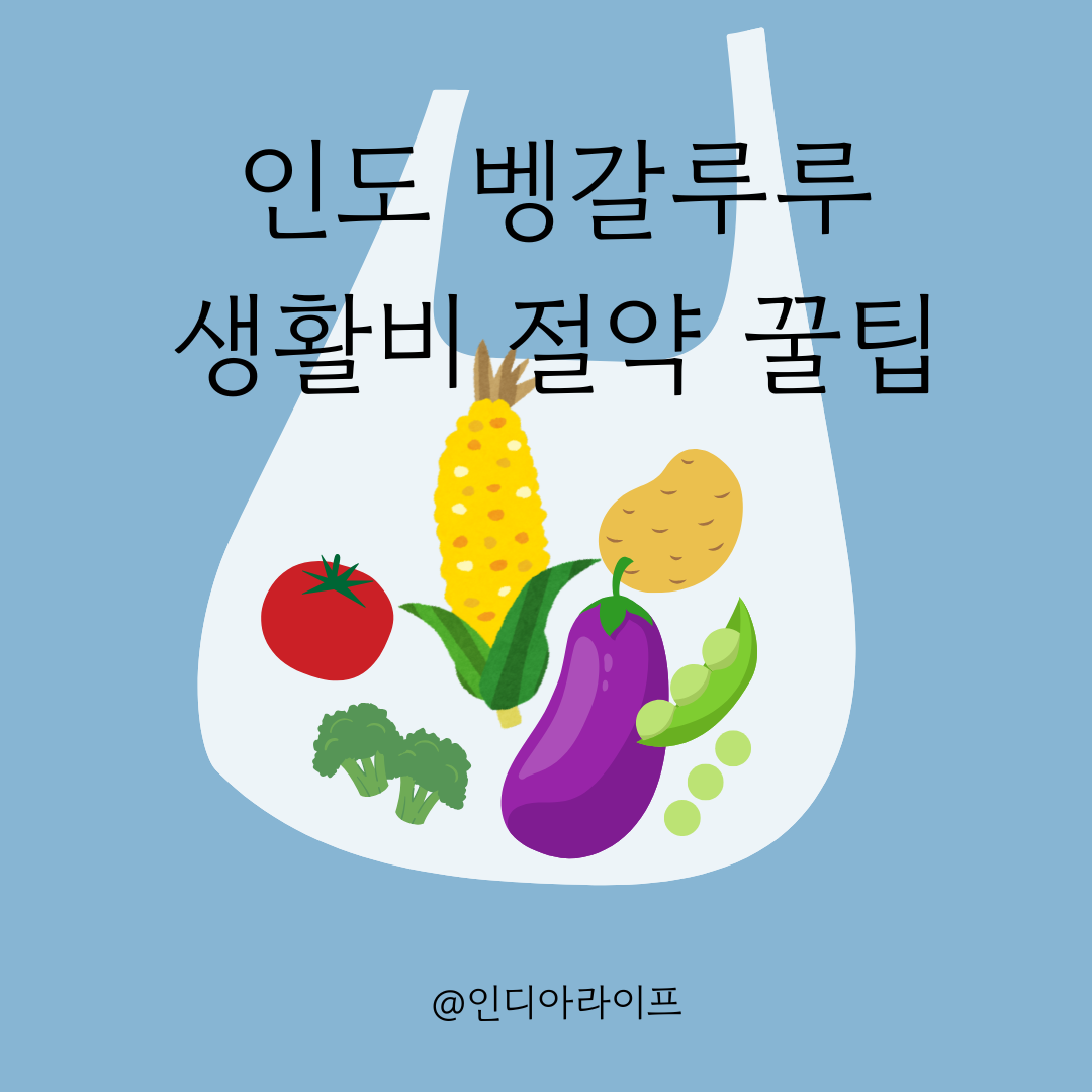 인도 벵갈루루 생활비 절약 꿀팁 총정리식비&middot;마트&middot;외식&middot;교통까지