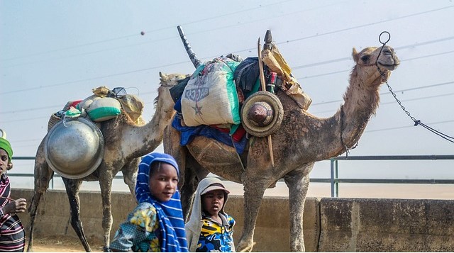 아프리카 유목민 사진