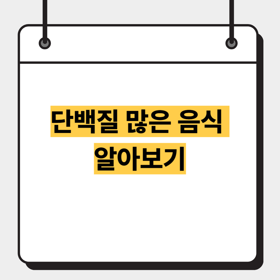 단백질 많은 음식 알아보기