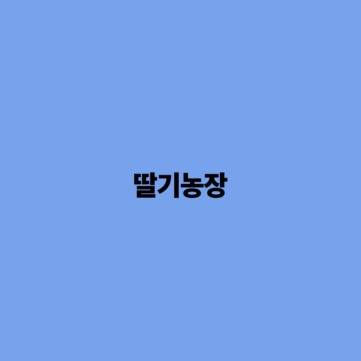 딸기농장 딸기 예쁘게 따는 방법