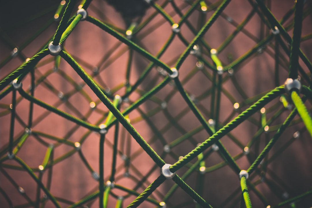 'Connection'
