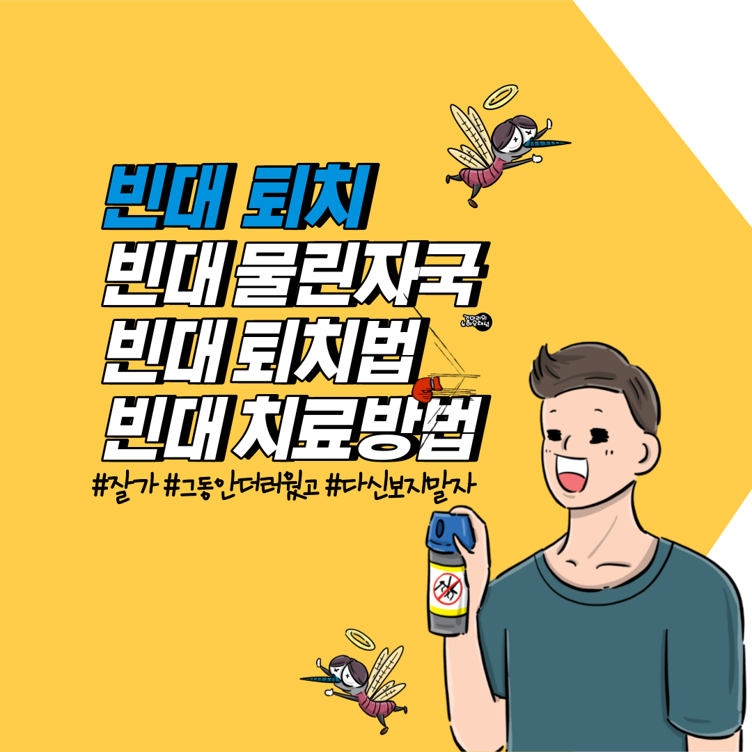 빈대 물린자국, 빈대 치료방법, 빈대 퇴치법 및 예방법