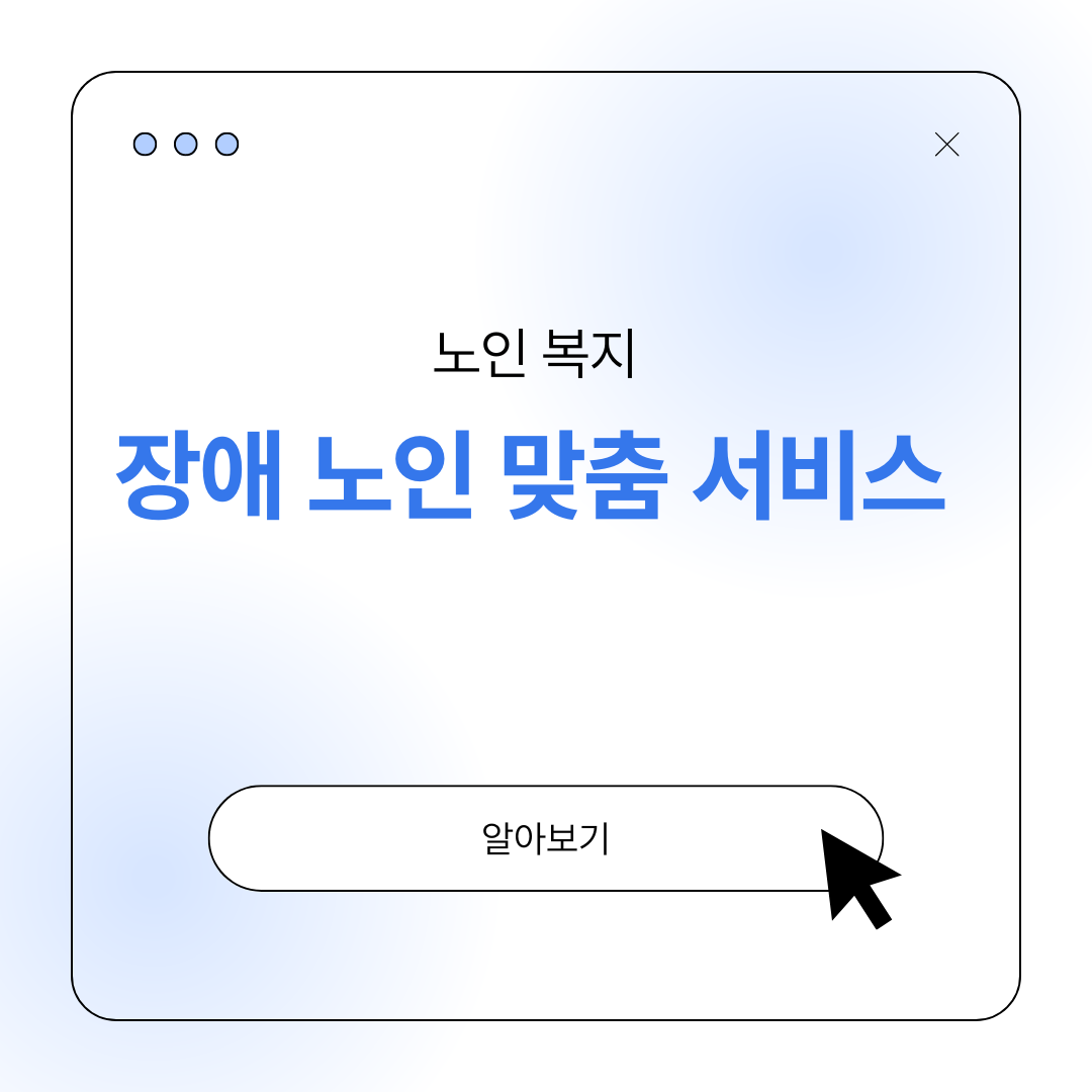 장애 노인 맞춤형 복지 서비스