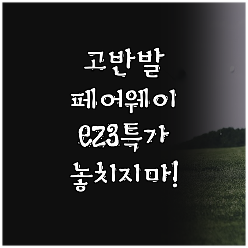 데이비드 고반발 페어웨이우드 EZ3 